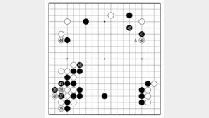[바둑]알파고 vs 알파고 특선보… 애용 정석