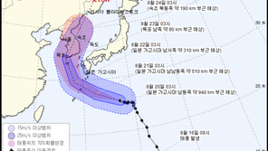 제19호 태풍 ‘솔릭’, 한반도 관통할까? 韓·美·日 예상 경로 보니…