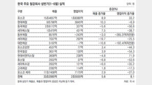 포스코 실적에 가려진 철강위기… 21곳 영업익 27%↓