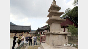 해남 대흥사 찾은 관광객들