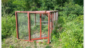 충북도 지자체들 “수확철 멧돼지를 잡아라”