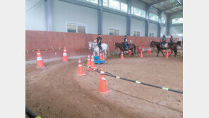캠핑하고 말타고 축제까지… “농촌은 즐거운 놀이터”