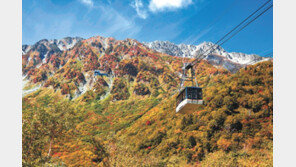 올가을 ‘五色힐링’… ‘일본의 알프스’ 알펜루트 속으로