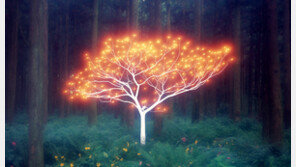 ‘순간 光’ 중첩시켜 2∼6주 공들여 키운 ‘생명의 나무’