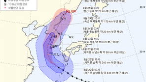 태풍 솔릭 진로예상, 반기성 “24일 새벽 서울  인근 통과…강풍이 더 걱정 ”