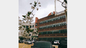 ‘졸업생 미투’ 용화여고에 누리꾼 “여고 하나에 성폭력 연루 18명? 소름”