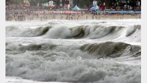 태풍 솔릭, 많은 비·강한 바람 예상…대비 요령·구비 물품은?