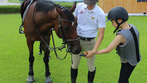 “엄마, 아빠! 나도 포니 탈래요”