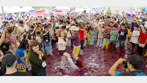 “새콤달콤 포도밭으로 초대합니다”