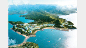 대명리조트, 여름 막바지… 정회원권 특별 분양