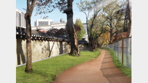 덕수궁 돌담길 모두 이어 10월말 개방