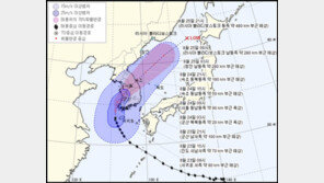 中·日 태풍 진로 예상, 이렇게 다를수가?…진도→단양→동해