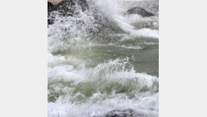 태풍진로에 피가 ‘바짝바짝’…“직장도 임시공휴일 지정” 靑 청원글 쇄도