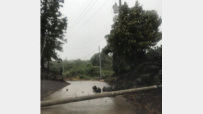 태풍 솔릭 위치, 아직 제주 근해…이동 속도 느려 피해 ‘눈덩이’