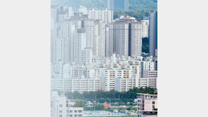 서울 아파트값 7개월만에 최대 상승… “투기지역 추가 지정”