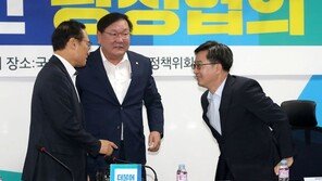 “확장 재정으로 소득-혁신 성장 가속”