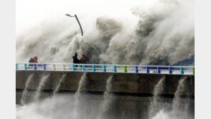“한반도 태풍 경제피해 갈수록 커져… 2060년 GDP의 1% 넘는다”