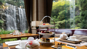 “도심 속 힐링 오아시스를 꿈꾸는 공간”, 롯데호텔서울 페닌슐라 라운지