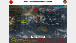 ‘21호 태풍 제비’, 당분간 생성 조짐 無…24 TD, 기준 미달
