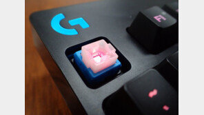 [IT쇼핑가이드] 키보드편 - 6. 키보드 백라이트