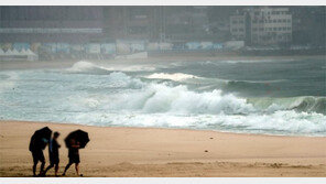 韓美日 예보, 각기 다른 까닭은…‘태풍 진로 예측의 과학’