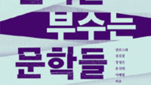 [책의 향기]남성적 시각에 갇힌 우리문학의 틀을 깨다