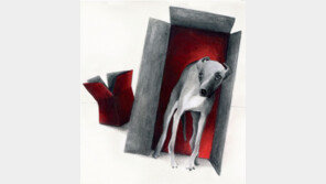 [그림책 한조각]꿈을 꿔요