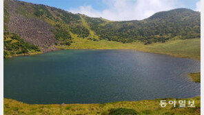 한라산이 방패 역할… ‘솔릭’ 힘 뺐다