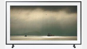 TV화면에 예술사진이…