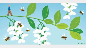 [포도나무 아래서]〈10〉뒤뚱거리며 꿀벌들이 돌아왔다