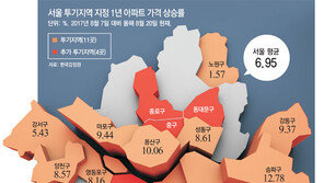 서울 투기지역 집값이 평균보다 많이 올라… 규제 실효성 의문