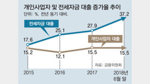 전세대출 받아 집 샀는지 집중 조사