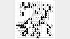 [바둑]알파고 vs 알파고 특선보… 백의 의도대로
