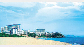 대명리조트, 창립기념일 맞아 특별 정회원권 분양 外