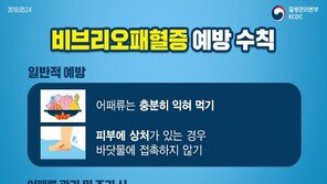‘사망 위험’ 비브리오 패혈증 환자, 작년 대비 2.15배…9월 집중
