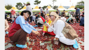“황금고추 행운 잡으러 괴산으로 오세요”