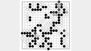 [바둑]알파고 vs 알파고 특선보… 패를 낼까, 말까
