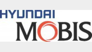 장애아동 자세유지 의자-기립형 휠체어 등 보조기구 지원