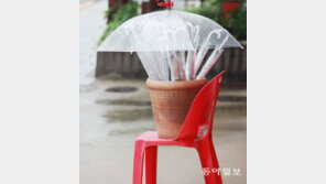 [고양이 눈]희생