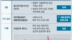 강경파 매티스 재등장…‘북미관계 원점 회귀도 불사’ 시그널