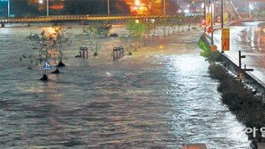 연천 446mm, 철원 431mm ‘럭비공 폭우’