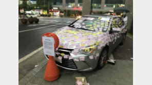 ‘송도 불법주차’ 차주에 비난 봇물…“사유지 불법주차 조치 강화” 靑 청원 등장