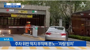송도 불법주차 캠리 차주, 법적 처벌? 변호사 “‘일반교통방해죄’ 적용 가능”