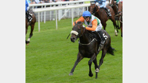 제3회 코리아컵 9월9일 개막…세계 정상급 경주마들 몰려온다