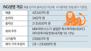 신한금융 “ING생명 품에 안고 리딩뱅크 왕좌 복귀”
