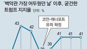 트럼프 ‘콘크리트 지지층’의 힘… 탄핵론 다시 수면 아래로