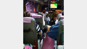 [고양이 눈]퇴근길