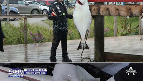 136cm·30kg, ‘도시어부’ 이덕화 낚은 할리벗은? ‘지구상서 가장 큰 가자미’
