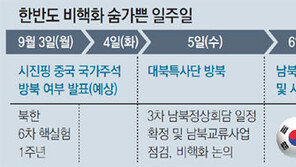 6개월 전보다 험난해진 방북 길… 北-美 중재역할 분수령