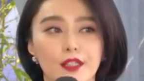 판빙빙 망명설 가짜뉴스? 中 매체 “정치보호 비자 無…망명 업무는 애너하임”